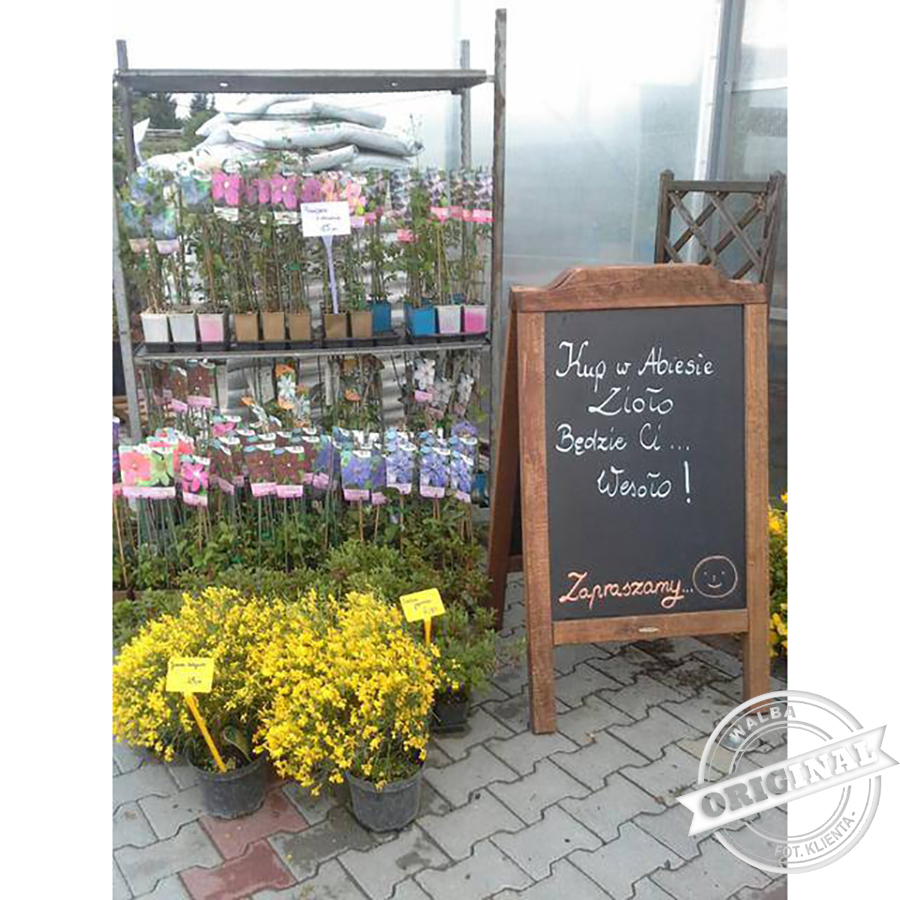 Zobacz potykacz który kupił Abies Projektowanie Ogrodów z Wójtowa